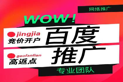 某电商平台信息流广告运营实战案例